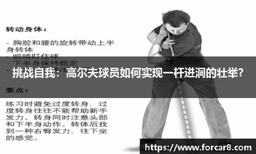 完美体育